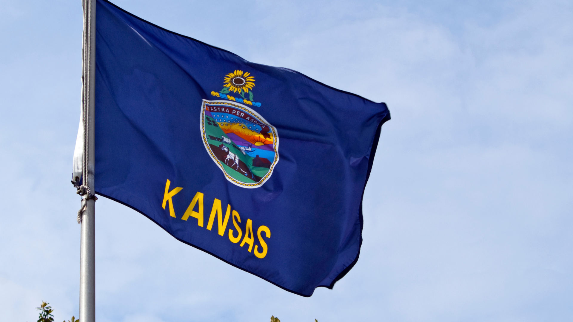 Kansas Court Record Access Issues: What Happened?