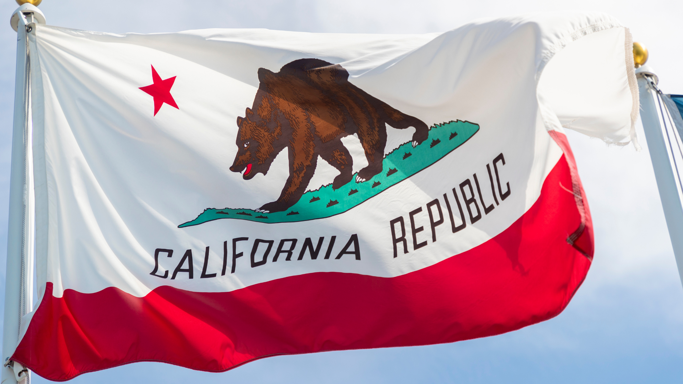 California Redaction Laws Stall CRAs in Performing Background Checks